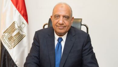 وزير الكهرباء محمود عصمت
