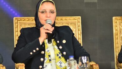 رئيس مجلس إدارة الشركة المصرية لنقل الكهرباء