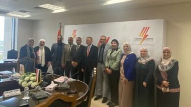 شركة القاهرة لإنتاج الكهرباء