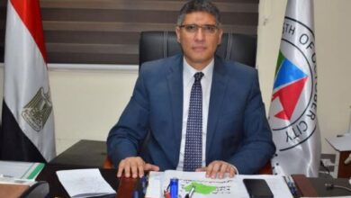 عادل النجار محافظ الجيزة