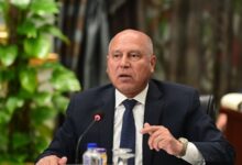 كامل الوزير