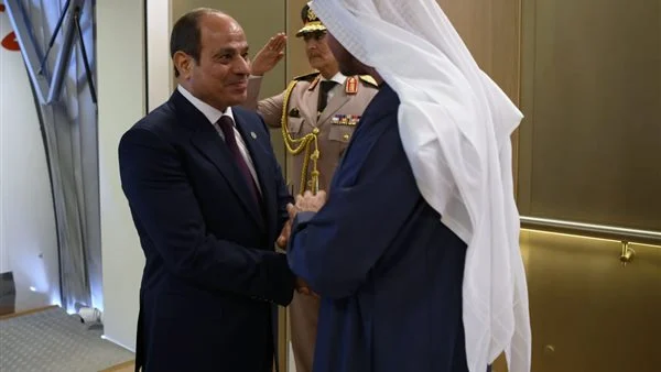 الرئيس السيسي وبن زايد