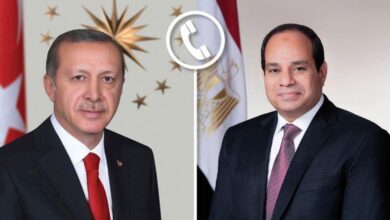 الرئيس السيسي واردوغان