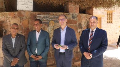 رئيس الوزراء الصربي