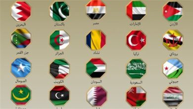 الدول العربية