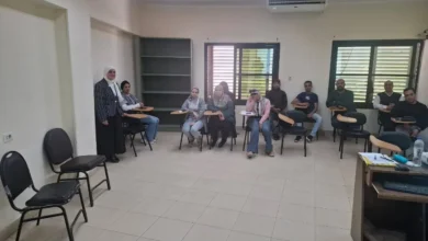شمال القاهرة للكهرباء