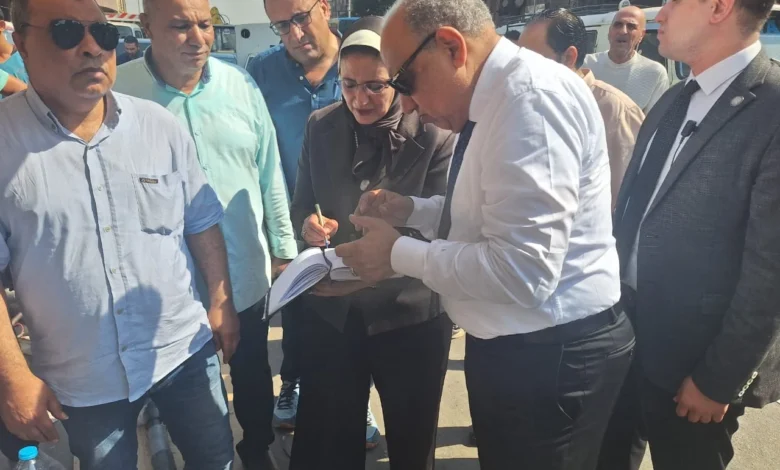 محمود عصمت وزير الكهرباء