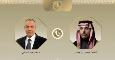 وزير الخارجية المصري والسعودي
