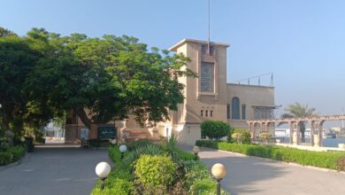 ركن فاروق