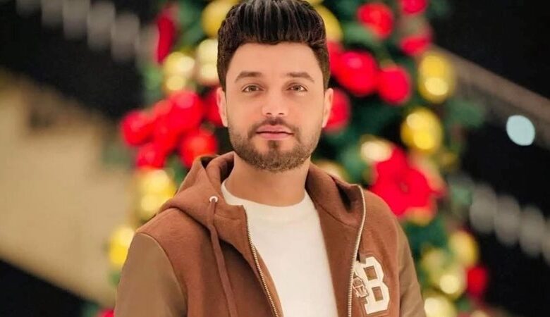 أحمد عامر