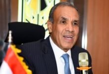 بدر عبد العاطي وزير الخارجية