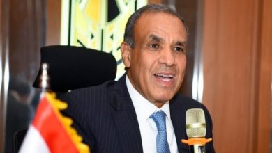 مجدي عبد العاطي وزير الخارجية