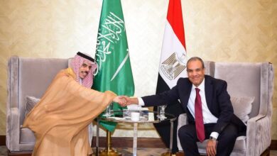 وزير الخارجية المصري ونظيره السعودي