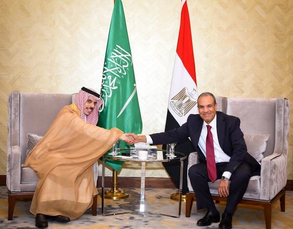 وزير الخارجية المصري ونظيره السعودي