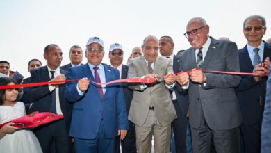 وزير الكهرباء