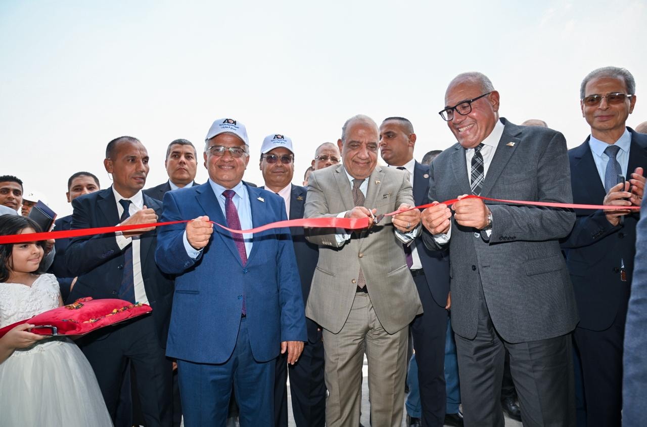 وزير الكهرباء