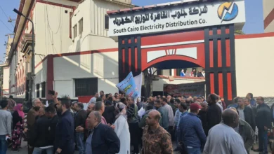 جنوب القاهرة للكهرباء