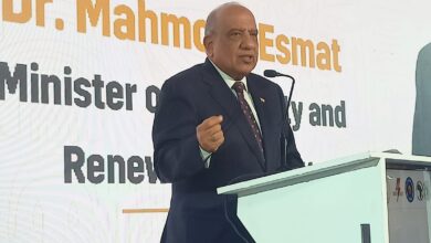 محمود عصمت