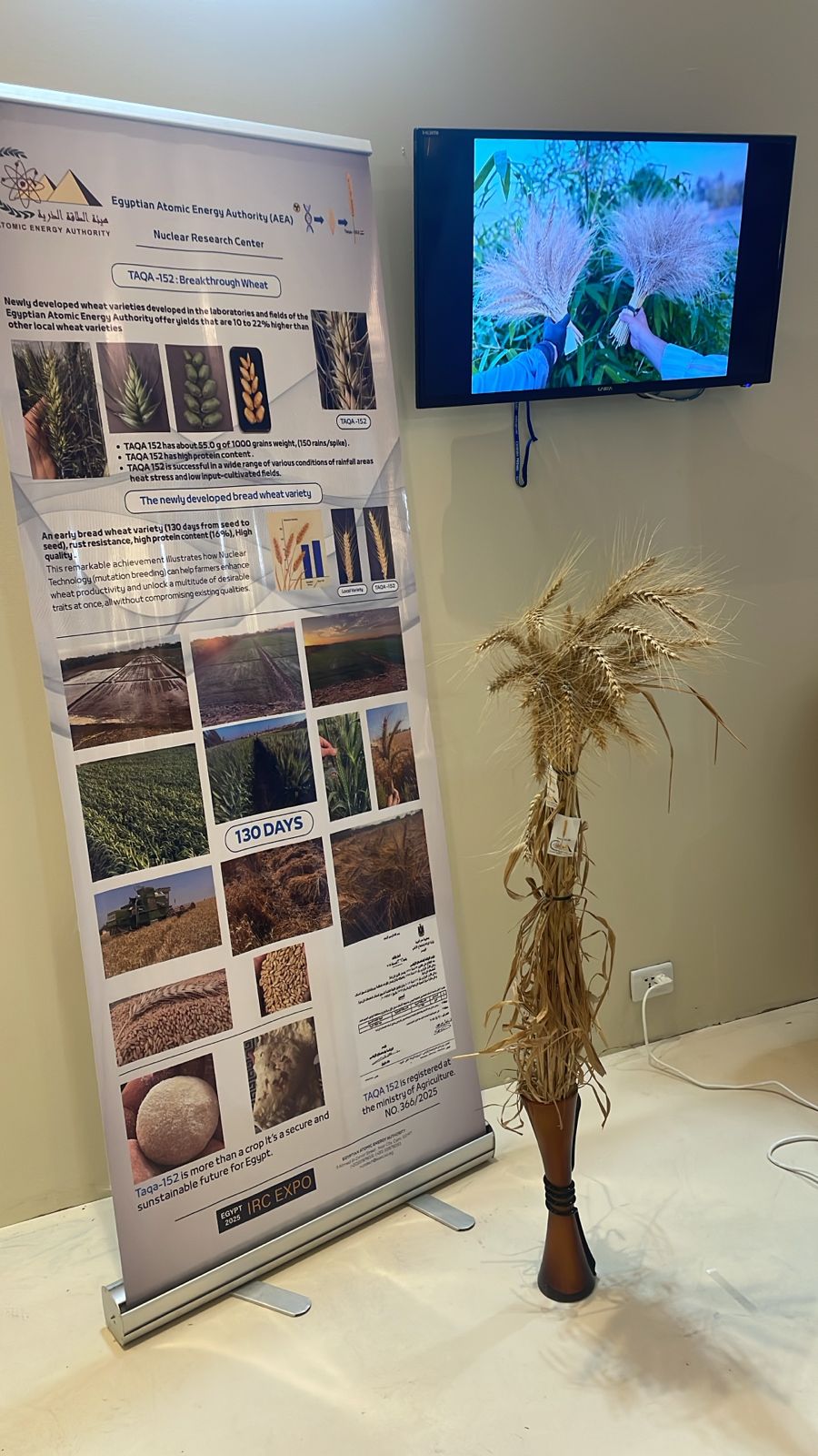 WhatsApp Image 2025-12-11 at 6.01.11 PM