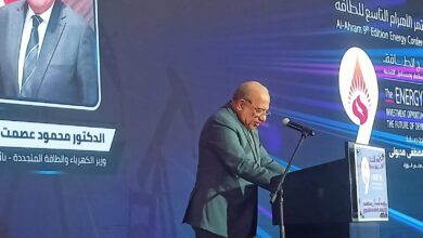 وزير الكهرباء