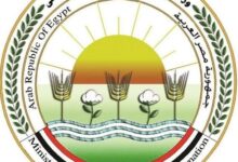 608420685_1440642824772800_4806566143251245085_n