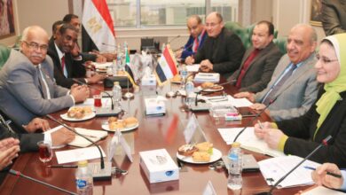 وزارة الكهرباء