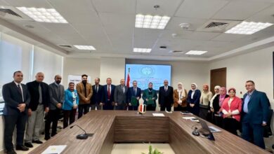 وزارة الكهرباء