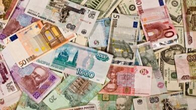 2017-636305261092863548-286