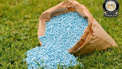 2847200215796620260202010535535