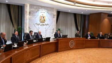 639801301_1490903959746686_2037853650346519240_n