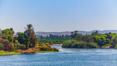 landscape-view-of-large-river-nile-in-egypt