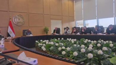 رئيس تحرير القاهرة اليوم ووزير الكهرباء