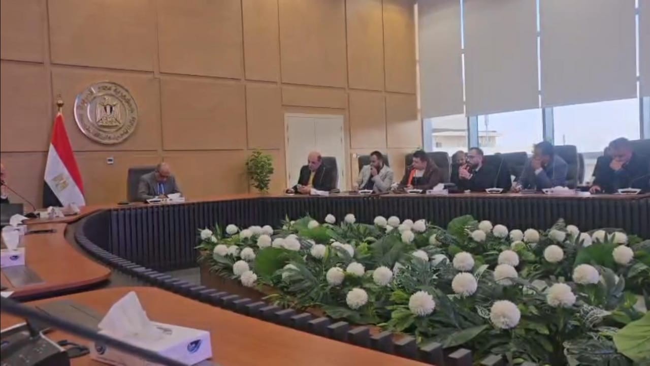 رئيس تحرير القاهرة اليوم ووزير الكهرباء