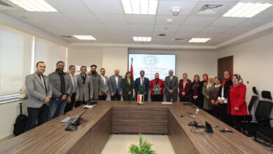 وزارة الكهرباء