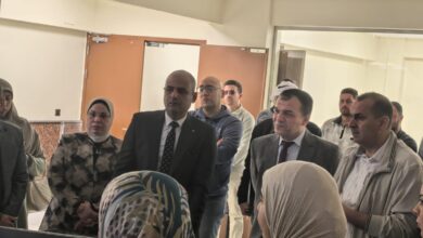 قطاع كهرباء دمياط