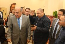 وزير الكهرباء