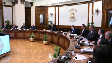 645131514_1495561935947555_5594297029024720276_n