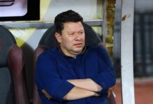 رضا عبد العال