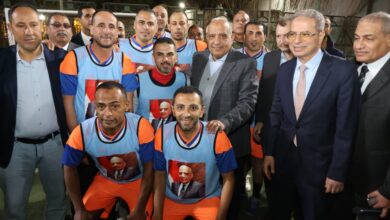 قطاع الكهرباء