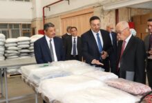 مصر واليابان