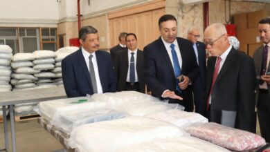 مصر واليابان