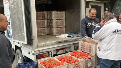 وزارة التموين