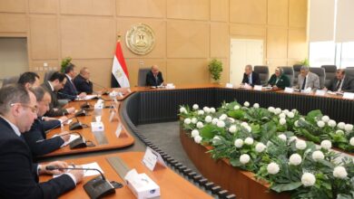 وزارة الكهرباء