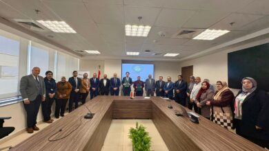 وزارة الكهرباء