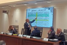 وزير الكهرباء