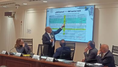 وزير الكهرباء