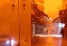 2026_4_4_11_38_22_136