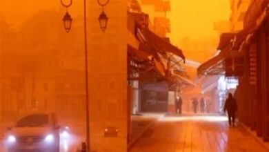 2026_4_4_11_38_22_136