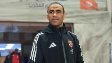 سيد عبد الحفيظ