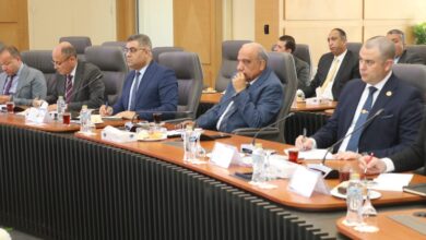 محمود عصمت وزير الكهرباء